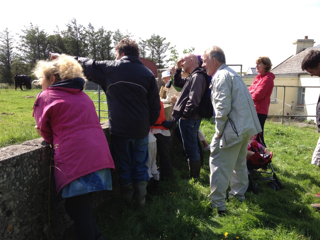 Burren Tours